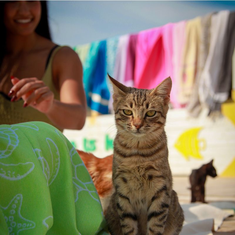 FOUTA TUNISIA FRANCE